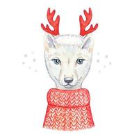 Wolfsjunges in einem roten Strickpullover. aquarellillustration vektor