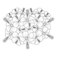 hibiskusblüten malvorlagen illustration mit hawaiianischen hibiskusblättern und umriss rose von sharon vektor