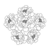 Pfingstrose Blumenstrauß Doodle Kunst der Blume Malvorlagen Umriss Vektorgrafik isolierten Hintergrund vektor