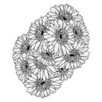 schöne Blumen der Gerbera-Gänseblümchen-Malseitenzeichnung, die in der Vektorgrafik der Strichzeichnungen detailliert sind vektor