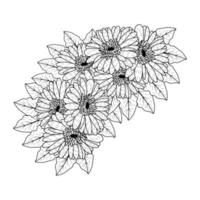 schöne Blumen der Gerbera-Gänseblümchen-Malseitenzeichnung, die in der Vektorgrafik der Strichzeichnungen detailliert sind vektor