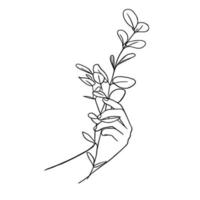 Strichzeichnungen minimal von der Hand, die organische Pflanzen in handgezeichnetem Konzept für die Dekoration hält, zeitgenössischer Doodle-Stil vektor