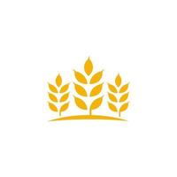 Landwirtschaft Weizen Reis Vektor Icon Design