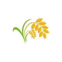 Landwirtschaft Weizen Reis Vektor Icon Design