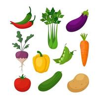 pflanzliches objektelement zum kochen von lebensmitteln veganes landwirtschaftliches produkt