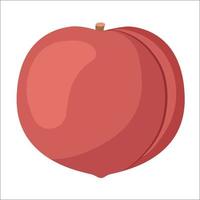 färsk naturlig rosa persika frukt gott mat frukt vektor