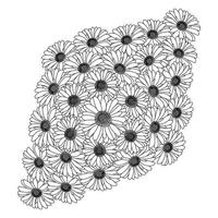 Kamillen- und Gänseblümchen-Blume zum Ausmalen von Seitendesign mit detaillierter Linienkunst-Vektorgrafik vektor