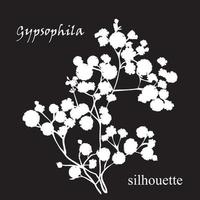 Zweig der schönen handgezeichneten Silhouette Gypsophila vektor