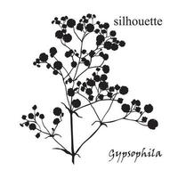 Zweig der schönen handgezeichneten Silhouette Gypsophila vektor