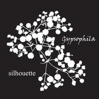 Zweig der schönen handgezeichneten Silhouette Gypsophila vektor