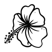 hibiskus blomma illustration hand dragen för design element. vektor