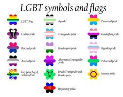 lgbt offizielle stolzflaggensammlung, lesbisch, schwul, bisexuell und transgender. Sammlung von Zeichen für Menschen unterschiedlicher sexueller Orientierung. vektor