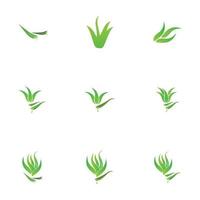 aloe vera logotyp illustration formgivningsmall vektor