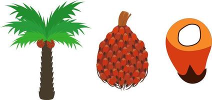 palm kokosnuss für ölvektorgrafikillustration, rohstoff und industrie aus kalimantan, palmfarmer vektor