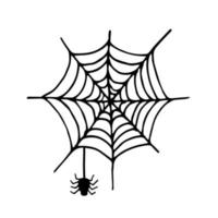 Spinnen- und Spinnennetzgekritzelvektorillustration lokalisiert auf Weiß vektor