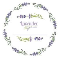 violetter Lavendel schöne Blumenrahmenschablone in der Aquarellart lokalisiert auf weißem Hintergrund für dekoratives Design, Hochzeitskarte, Einladung, Reiseflayer vektor