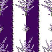 nahtloser lavendel blüht hintergrund. Botanische Illustration. vektor