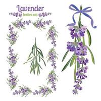 uppsättning festlig ramar och element med lavendel- blommor för hälsning kort. botanisk illustration. vektor