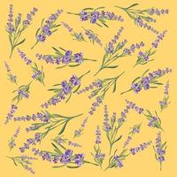 Hintergrund mit Blumenrahmen Lavendel für Einladungskarte vektor