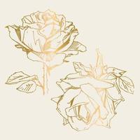 handgezeichnete Rose. Vektor-Illustration. Rose im Vintage-Tattoo-Stil. Blumenmotivskizze für Design. Tintenillustration isoliert. vektor