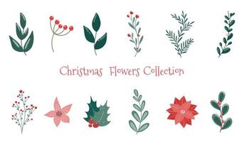 winterweihnachtspflanzenillustrationssatz. botanische designelemente für weihnachten. festliches weihnachtsdekor, pflanzenzweige, flora, laub. vektor