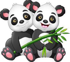 tecknad serie par panda med grön bambu vektor