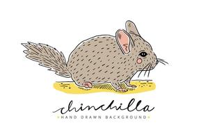 Gratis Chinchilla Bakgrund vektor