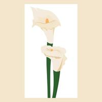 vykort med calla blommor vektor