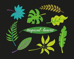 tropisk växter. monstera och handflatan djungel löv, grön exotisk lövverk, natur botanisk dekorativ samling. vektor illustration isolerat samling tropisk blad uppsättning