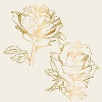 handgezeichnete Rose. Vektor-Illustration. Rose im Vintage-Tattoo-Stil. Blumenmotivskizze für Design. Tintenillustration isoliert. vektor