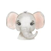 söt porträtt elefant huvud i tecknad serie stil. teckning afrikansk bebis vild elefant ansikte isolerat på vit bakgrund. vattenfärg ljuv leopard vektor