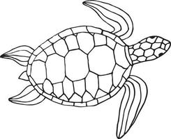 Vektor handgezeichnete Doodle-Skizze Schildkröte