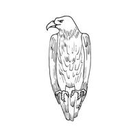 Illustration im Stil der Adlerkunsttinte vektor