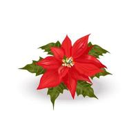 schöner realistischer Weihnachtsstern. Weihnachtsblume. leuchtend rote Bethlehem-Sternwolfsmilchpflanze mit grünen Blättern für Drucke, Dekor vektor