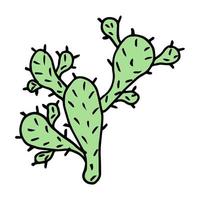tropisk kaktus, söt klotter vektor