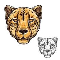 Gepardenmaulkorb afrikanisches Wildtier-Vektorsymbol vektor