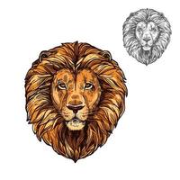lejon munkorg afrikansk vild djur- vektor skiss ikon