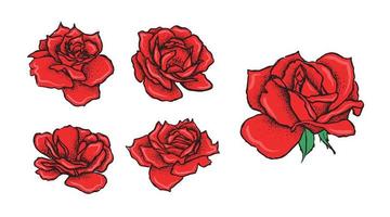 ros blomma, handritad illustration vektor