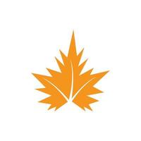 Herbstblatt-Symbolvektor vektor