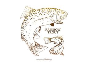 Gratis Rainbow Trout Vector Illustration