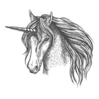 einhorn mythisches pferd mit hornvektorskizze vektor