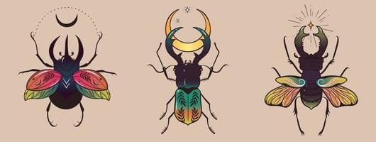 sammlung von fantasievollen bunten käfern für design. Vektorgrafiken vektor