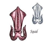 bläckfisk vektor isolerat skiss skaldjur ikon