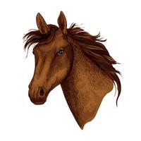 häst djur- munkorg vektor sport kapplöpningshäst ikon