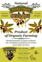 Olivenöl-Banner mit natürlichem Bio-Lebensmittel-Design vektor