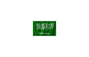 Flagge von Saudi-Arabien 3D-Vektordesign vektor