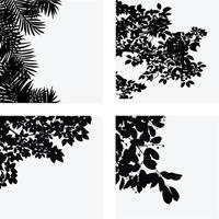 eine Vektorsammlung botanischer Blätter für Bildkompositionen vektor