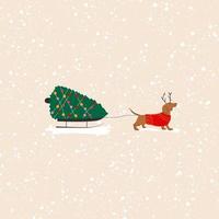 Dackelhund zieht einen Weihnachtsbaum auf einer Schlittenvektorillustration vektor