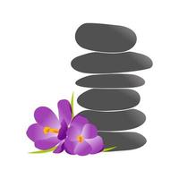 rock balance und blumenlogo vektor