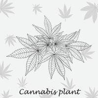 Einfachheit Cannabispflanze Freihandzeichnen flaches Design. vektor